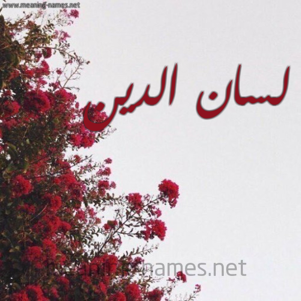 شكل 18 صوره الورد الأحمر للإسم بخط رقعة صورة اسم لسان الدين LISSANE-EDDINE